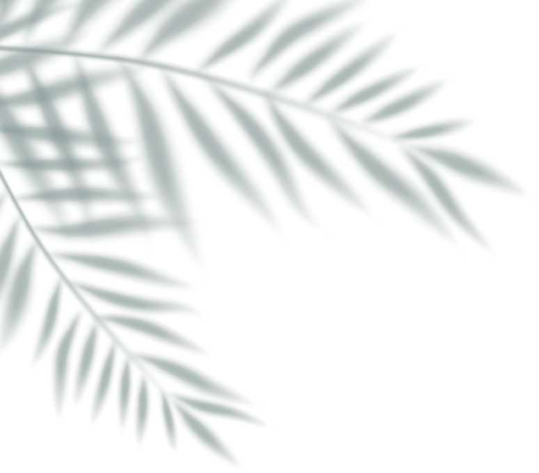 Palm Shadow